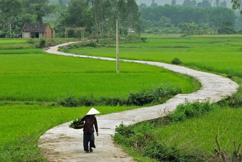 Tháng ngâu thương má - 1