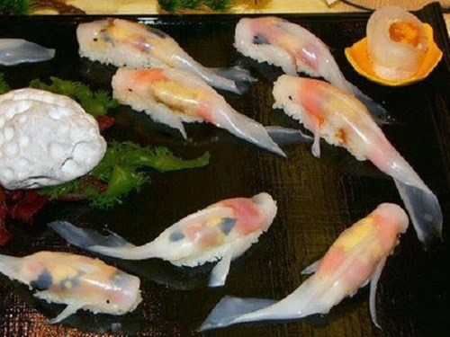 Thích thú với món sushi biết bơi ở nhật bản - 1