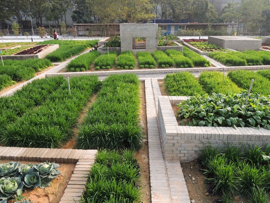 Tq vườn rau sạch 2000m cho cư dân thành phố tự trồng - 3