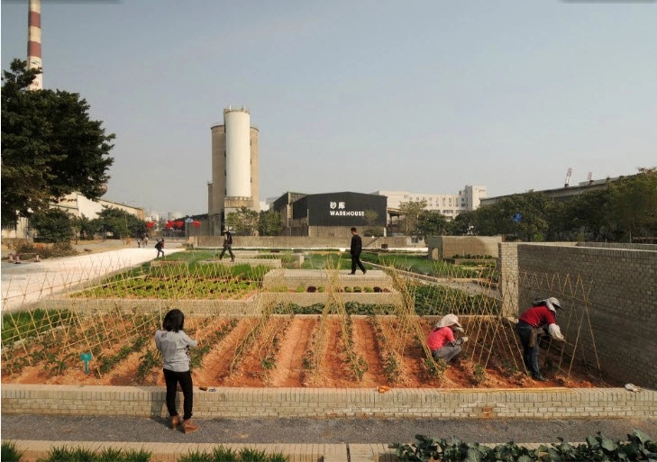 Tq vườn rau sạch 2000m cho cư dân thành phố tự trồng - 8
