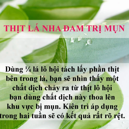 Trị sạch mụn chỉ mất vài nghìn đồng bằng lá cây - 1