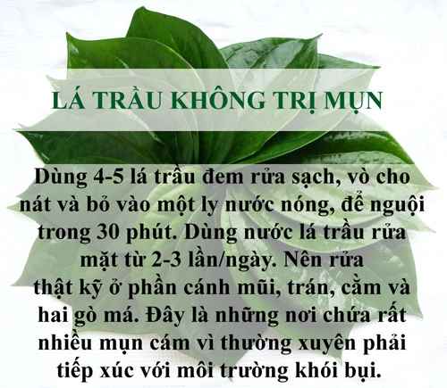 Trị sạch mụn chỉ mất vài nghìn đồng bằng lá cây - 5