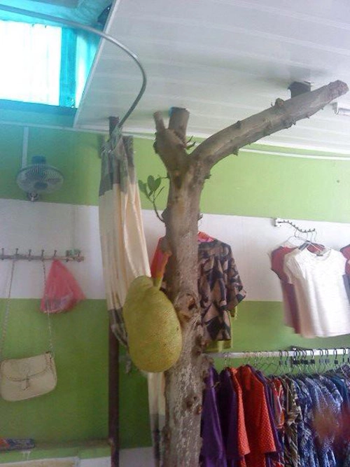 Việt nam cây mít ra quả giữa cửa hàng thời trang - 1