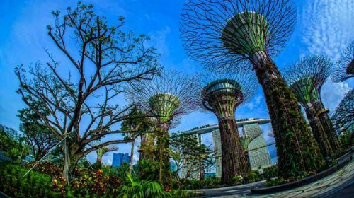 Việt nam nằm trong top 10 thị trường du lịch của singapore - 1