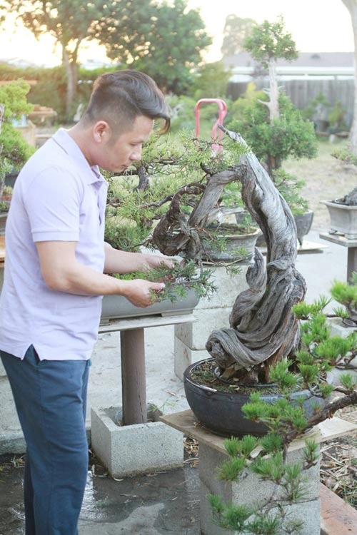 Vườn bonsai tiền tỷ ở mỹ của bằng kiều - 2