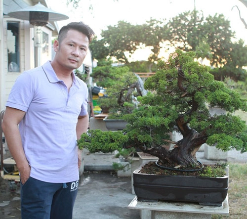 Vườn bonsai tiền tỷ ở mỹ của bằng kiều - 3