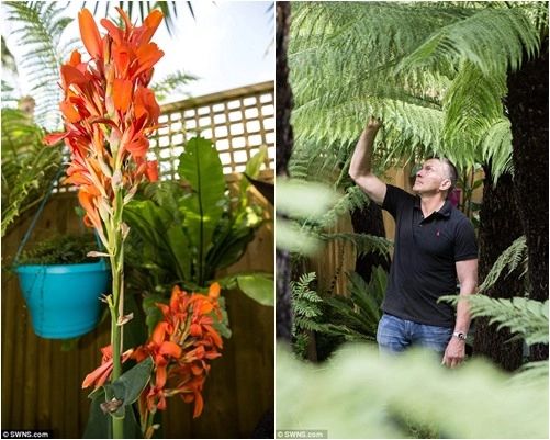 12 năm biến vườn nhà thành rừng mưa nhiệt đới thu nhỏ - 7