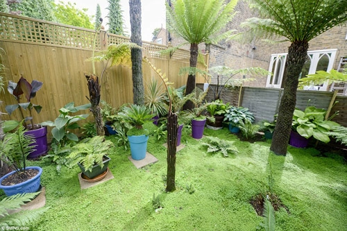 12 năm biến vườn nhà thành rừng mưa nhiệt đới thu nhỏ - 11