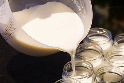 Cách làm sữa chua úp ngược giúp tống khứ 6kg mỡ nội tạng - 4