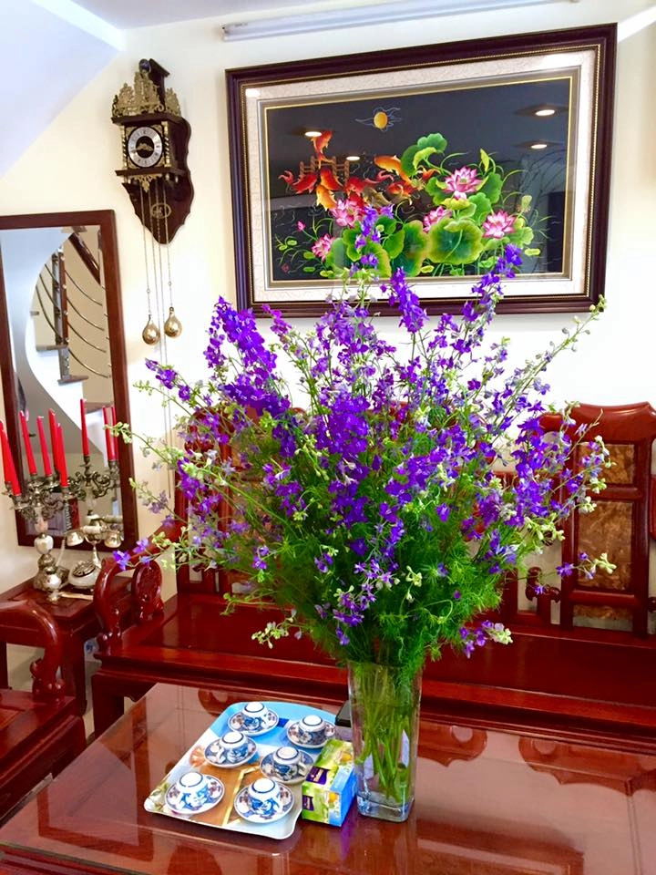 Cắm hoa violet tươi lâu đến 7 ngày - 2