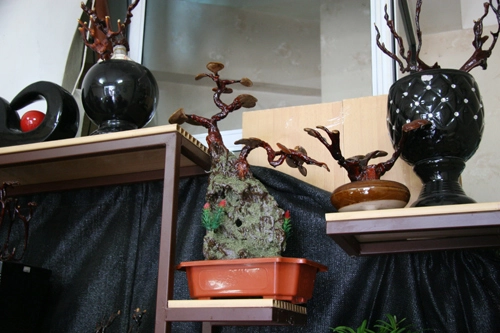 Dân tình lùng sục mua nấm linh chi bonsai tiền triệu - 6