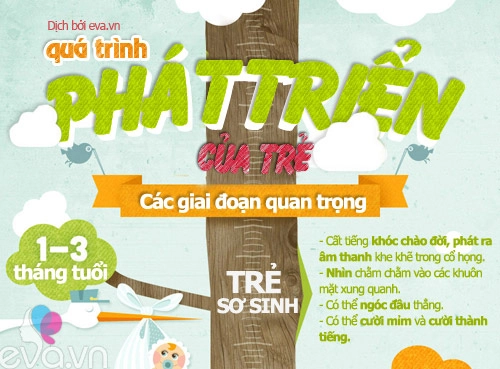 Infographic mốc phát triển vàng của bé - 1