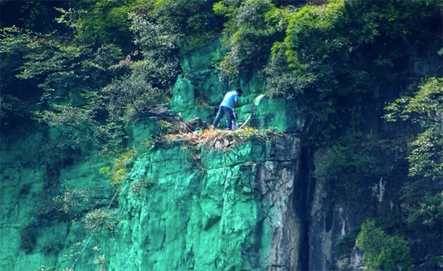 Người đàn ông sơn xanh 900m vách đá để hợp phong thủy - 2