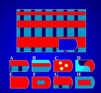 Test iq cho bé 5 tuổi - 9