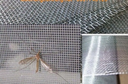 10 cách diệt đường xâm nhập của côn trùng vào nhà - 2