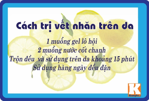 8 cách trị da nhăn nheo đơn giản mà hiệu quả từ lô hội - 2