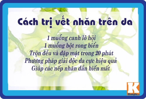 8 cách trị da nhăn nheo đơn giản mà hiệu quả từ lô hội - 7