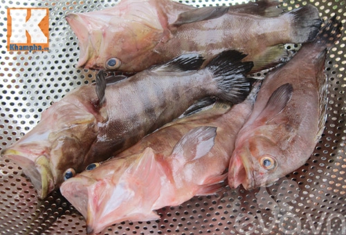 Canh cá mú nấu lá lốt nóng hổi - 2