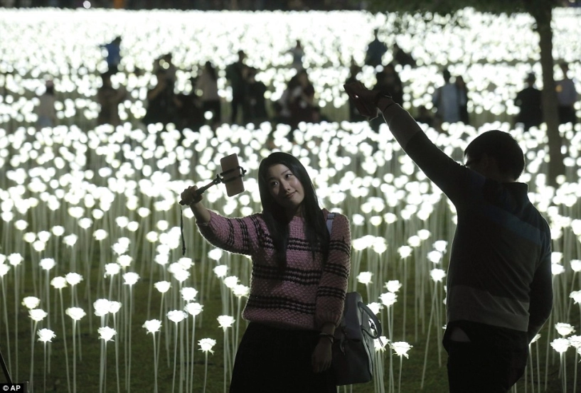 Chen nhau chụp ảnh tại vườn hồng phát sáng 25000 bông - 9