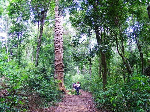 Chơi gì ở phú quốc - 6