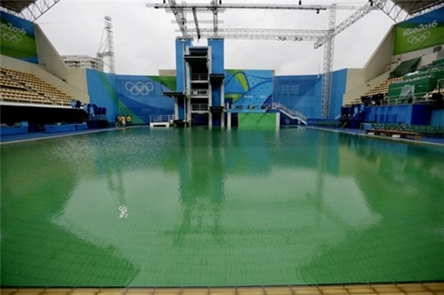 Đã phát hiện nguyên nhân khiến nước hồ bơi olympic chuyển màu xanh lá - 1