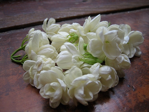 Da trắng hồng nhờ các loài hoa - 4