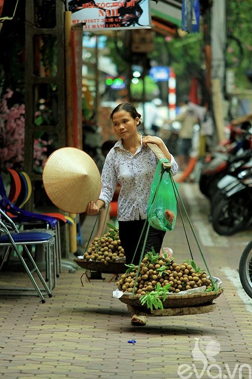 Đầu thu thưởng thức nhãn lồng ngọt lịm - 7