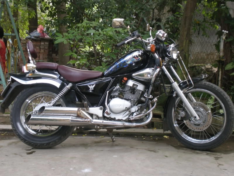 Độ xe husky lên triumph - 1