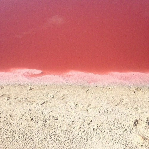 Hồ nước màu hồng tuyệt đẹp khiến giới trẻ thay nhau chụp ảnh - 8