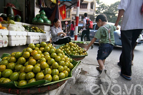 Hồng ngâm - quà ngon của mùa thu hà nội - 4