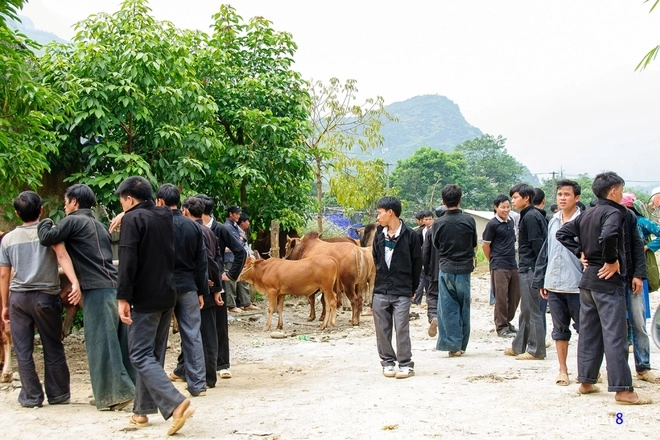 Lên hà giang để thưởng ngoạn nhiều điều mới lạ bên cạnh các khúc cua hay núi đá tai mèo - 2