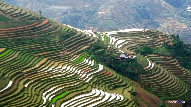 Lên hà giang để thưởng ngoạn nhiều điều mới lạ bên cạnh các khúc cua hay núi đá tai mèo - 6