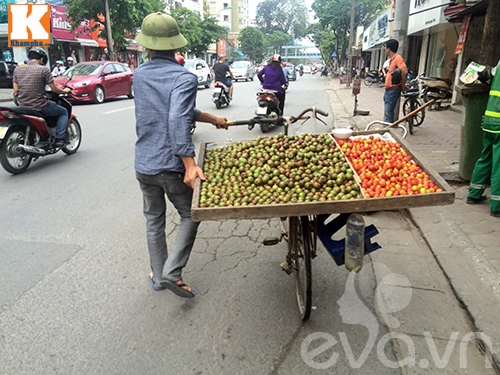 Mận đầu mùa vị chua chan chát vẫn hút người mua - 4