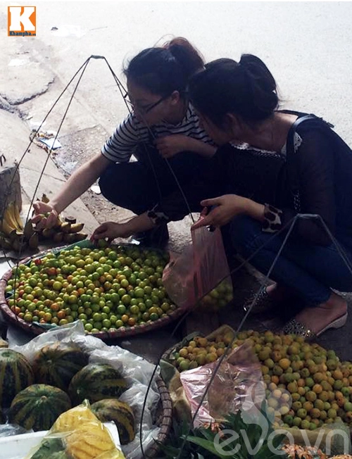 Mận đầu mùa vị chua chan chát vẫn hút người mua - 12