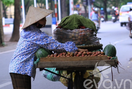 Mận hậu đã vào mùa - 10