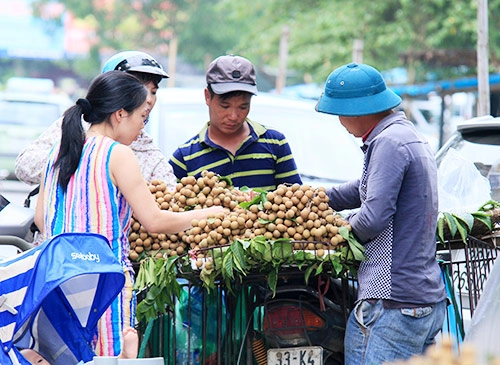 Nhãn lồng đầu mùa ngon ngọt - 2