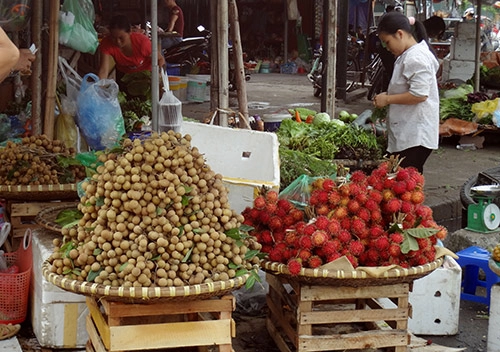 Nhãn lồng đầu mùa ngon ngọt - 3