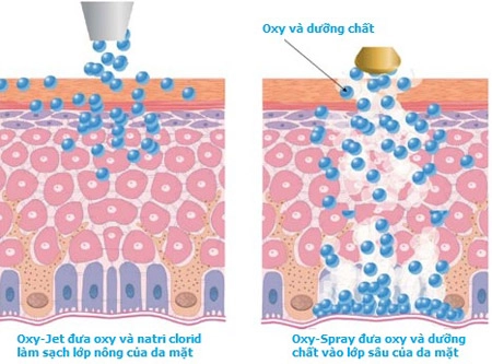 Những điều bạn cần biết về lão hóa da - 2