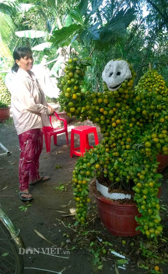 Quất cảnh tạo hình khỉ rồng lân siêu độc ở miền tây - 4