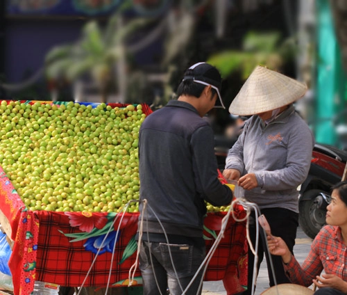 Táo ta đầu mùa giá 30000 đồngkg - 4