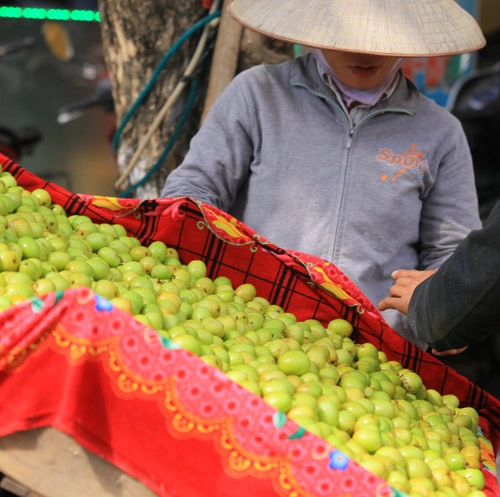 Táo ta đầu mùa giá 30000 đồngkg - 5