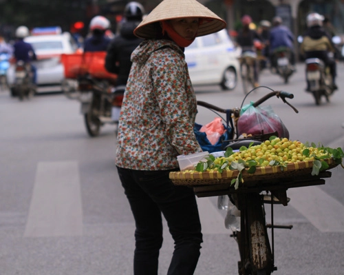 Táo ta đầu mùa giá 30000 đồngkg - 9