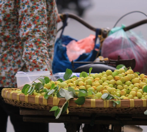 Táo ta đầu mùa giá 30000 đồngkg - 1