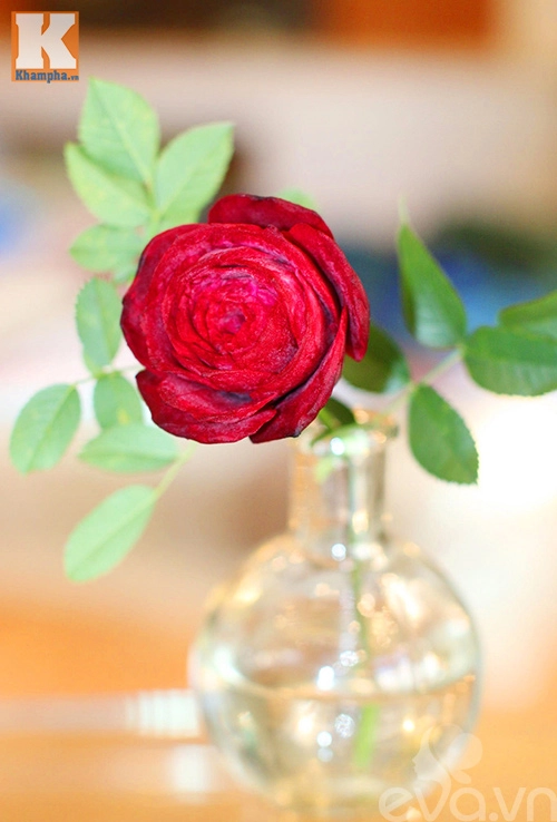 Tỉa hoa hồng nhung từ củ dền đẹp như thật - 10