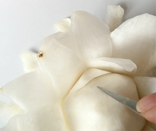 Tỉa hoa hồng từ củ cải trắng siêu đẹp - 7