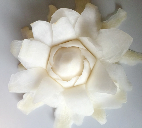 Tỉa hoa hồng từ củ cải trắng siêu đẹp - 9