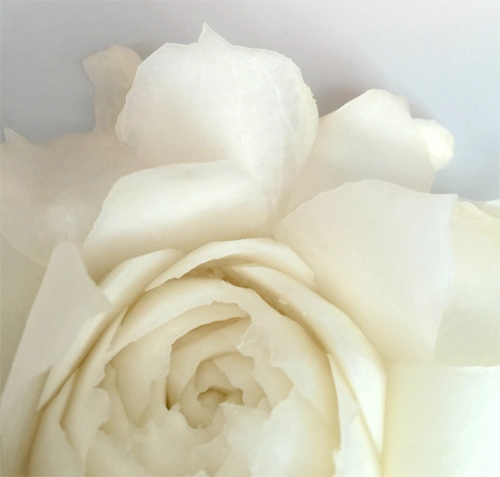 Tỉa hoa hồng từ củ cải trắng siêu đẹp - 11