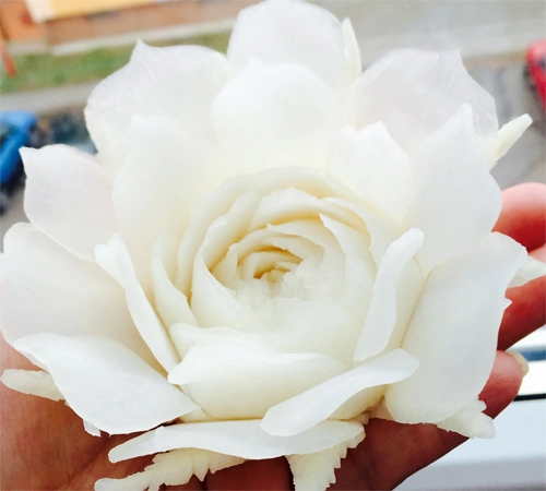 Tỉa hoa hồng từ củ cải trắng siêu đẹp - 15