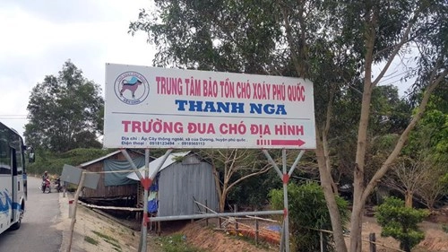 Trải nghiệm 1 ngày ở phú quốc - 11