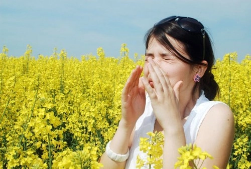  viêm mũi dị ứng và nguy cơ hen suyễn - 1